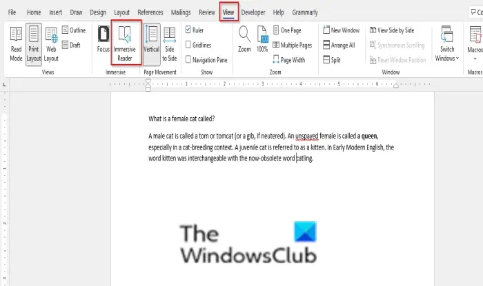 what is immersive reader in word