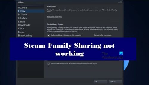 fix-steam-family-sharing-not-working-issue