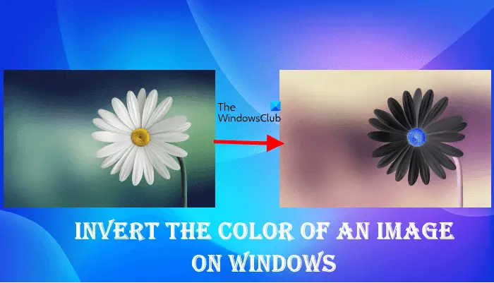 How to Invert Colors on a Picture