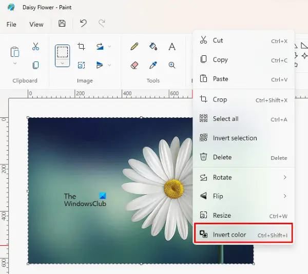 Fix Inverted Colors on Windows 10 [10 Easy Ways]