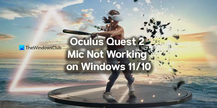 Fix Oculus Quest 2 Mic not working on Windows PC