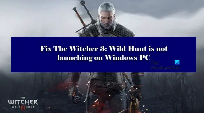 The Witcher 3: Wild Hunt is not launching