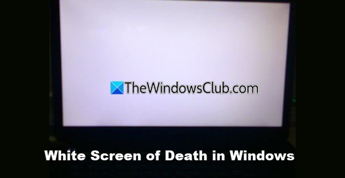 White Screen of Death Windows