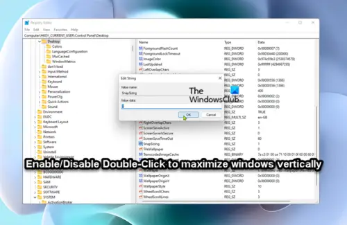 Disable Double-Click to maximize window vertically in Windows 11/10