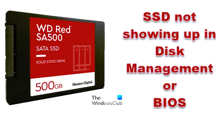 SSD not showing up in Disk Management or BIOS in 11/10