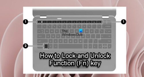 How To Lock And Unlock Function Fn Key In Windows 1110