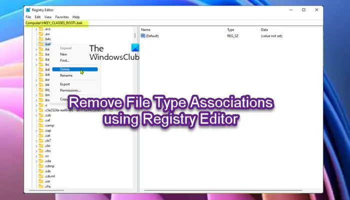 Remove File Type Associations using Registry Editor