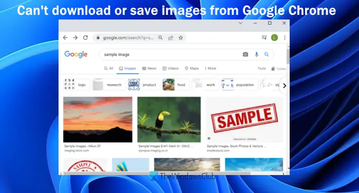 Can t download or save images from Google Chrome on Windows PC - 51