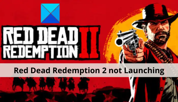 Red Dead Redemption 2 not Launching or Starting full