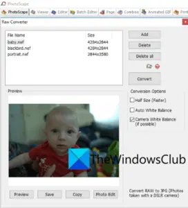 How To Convert Nef To Jpg, Png, Gif In Windows 11 10