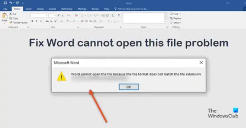 word-cannot-open-file-because-file-format-does-not-match-file-extension