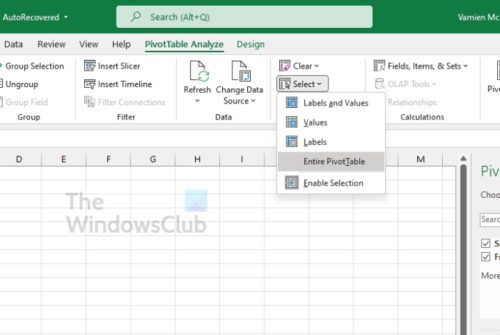 How To Delete Pivot Table In Excel Using Vba