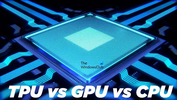 Tpu Contre Gpu Contre Cpu