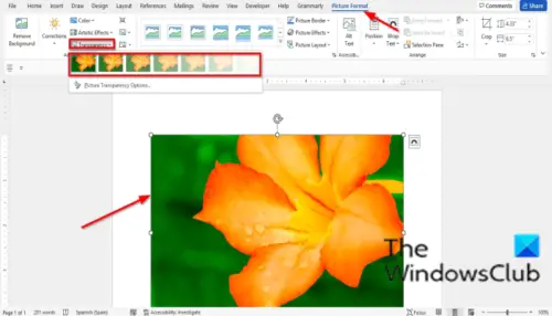 How To Make A Picture More Transparent In Word