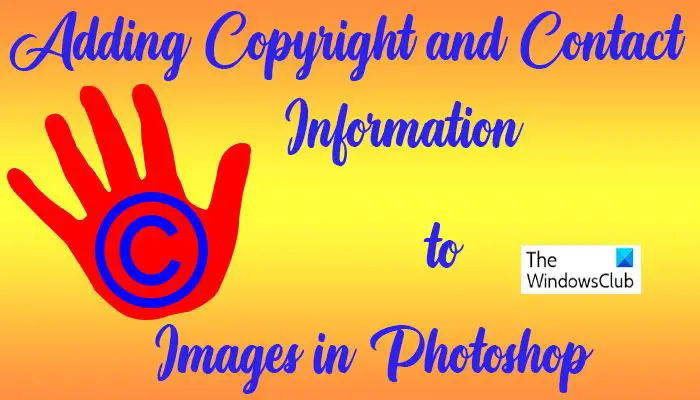 Comment Ajouter Des Informations De Copyright Et De Contact Aux Images Dans Photoshop