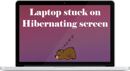 laptop-stuck-on-hibernating-screen