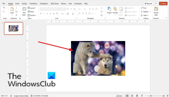 How to change the Background in PowerPoint
