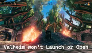 Valheim Won’t Launch Or Open On Windows 11/10