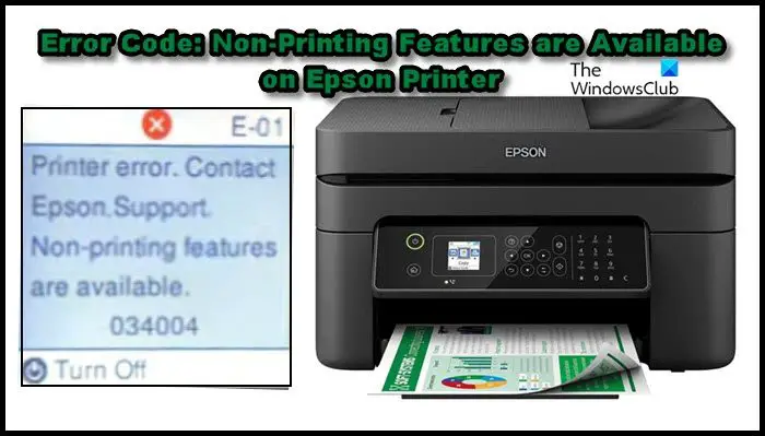 Epson Printer Error 034004, Доступны непечатающие функции