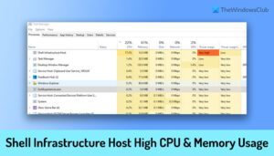 Shell infrastructure host грузит процессор