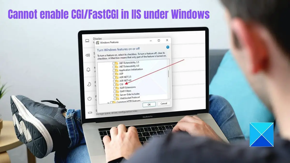 Why can't I enable CGI/FastCGI in IIS under Windows 11/10