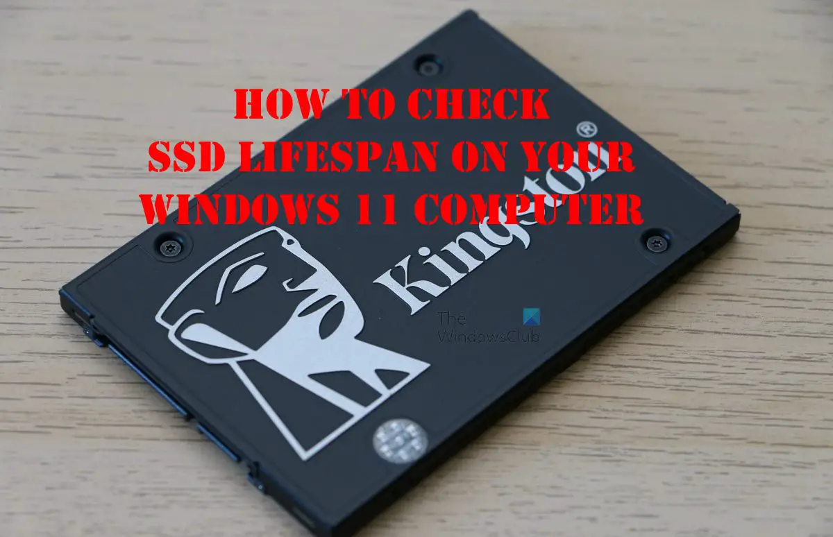 How to check SSD Lifespan on Windows 11 computer