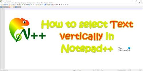 How To Select Text Vertically In Notepad 