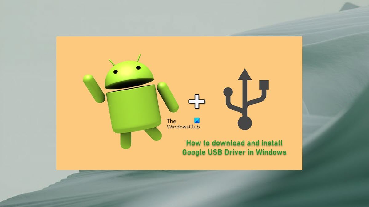 How to and install Google USB in 11/10