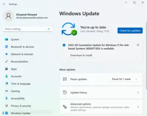 How to get the Windows 11 24H2 Update Version