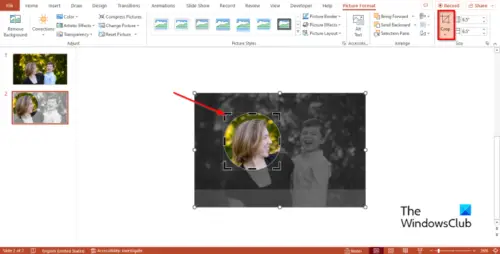 How to Crop To Shape parts of PowerPoint slide