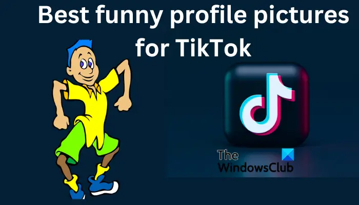 funny profile pics to use