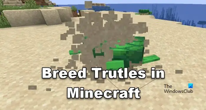 Züchte Schildkröten In Minecraft