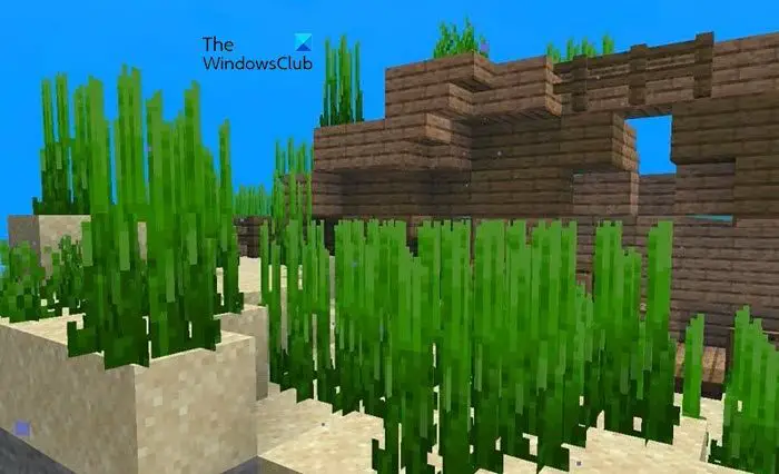 Seagrass Minecraft