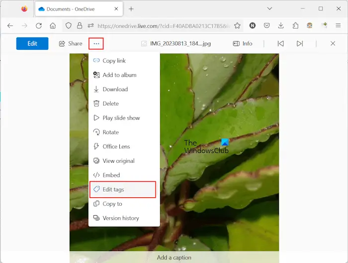 Add tags to images OneDrive online