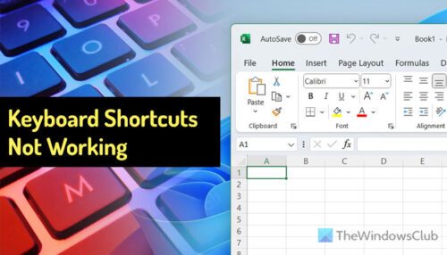 Keyboard Shortcuts Not Working In Excel [Fix]