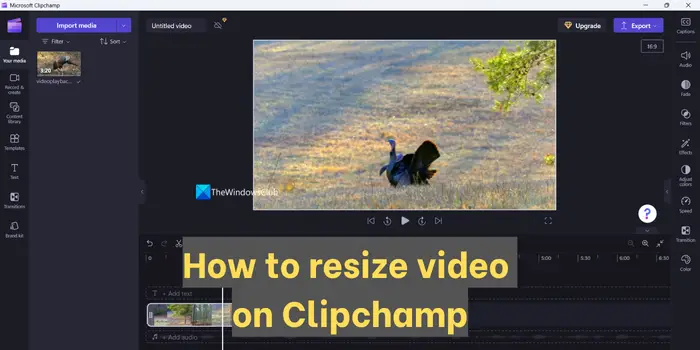 New! Import videos directly from Xbox in Clipchamp