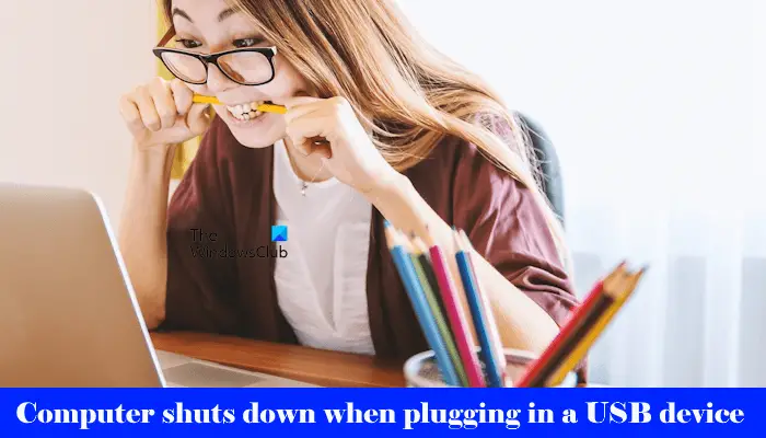 Computer shuts down when plugging USB
