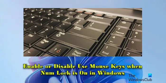 Enable or Disable Use Mouse Keys when Num Lock is On
