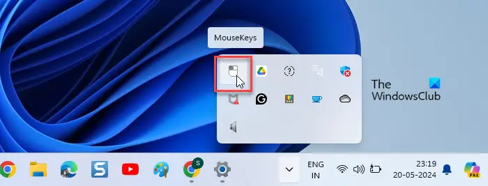 Mouse keys icon in system tray