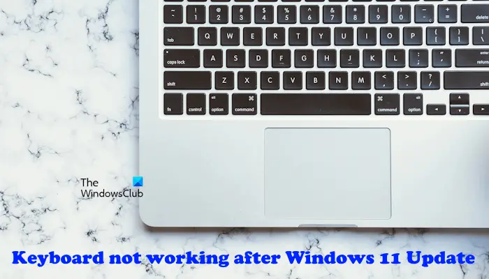 Keyboard not working after Windows Update