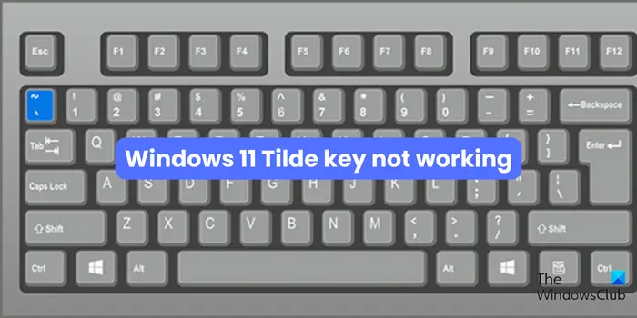 Windows 11 Tilde key not working