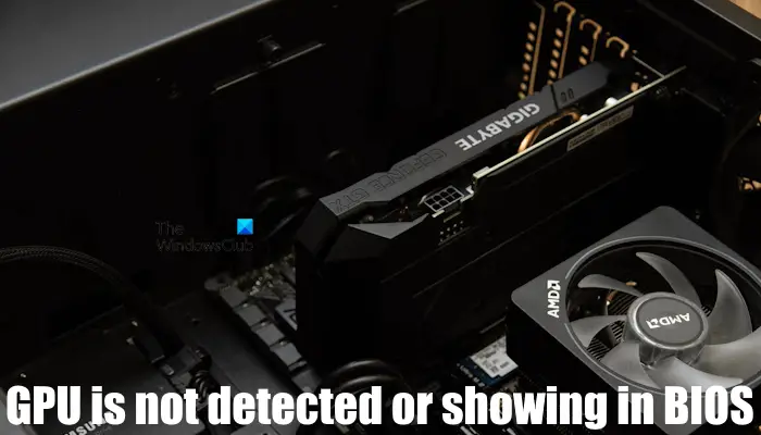 GPU is not detected in BIOS