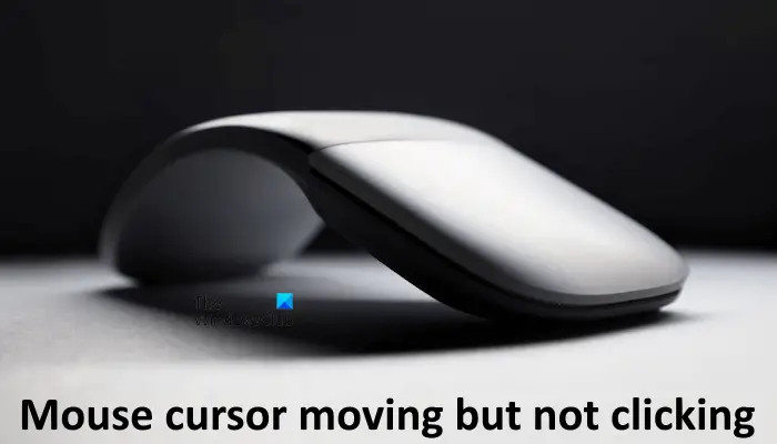 Mouse cursor moving but not clicking in Windows 11