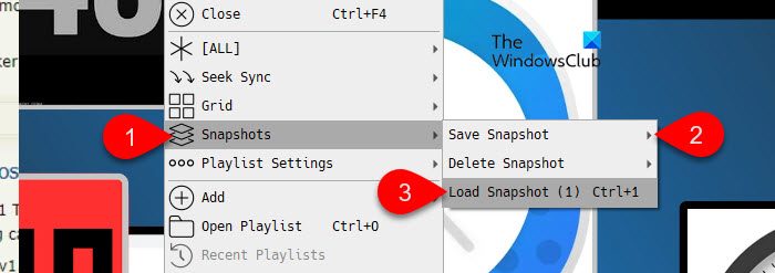 Snapshots in GridPlayer