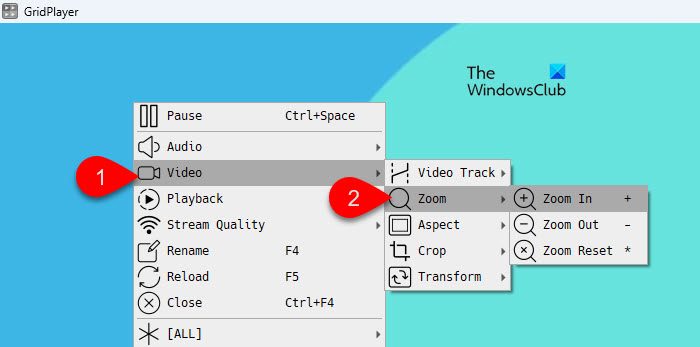 Video submenu GridPlayer