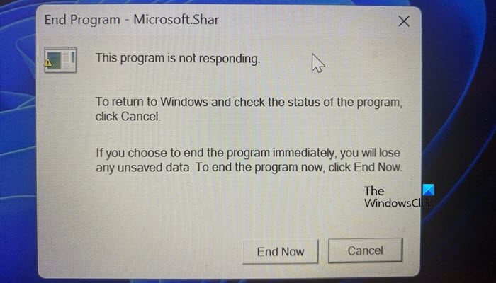 End Program Microsoft.Shar error when shutting down