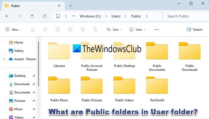 What are Public folders in User folder in Windows 11