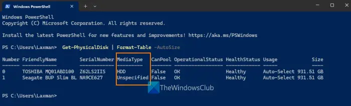 find disk type windows terminal