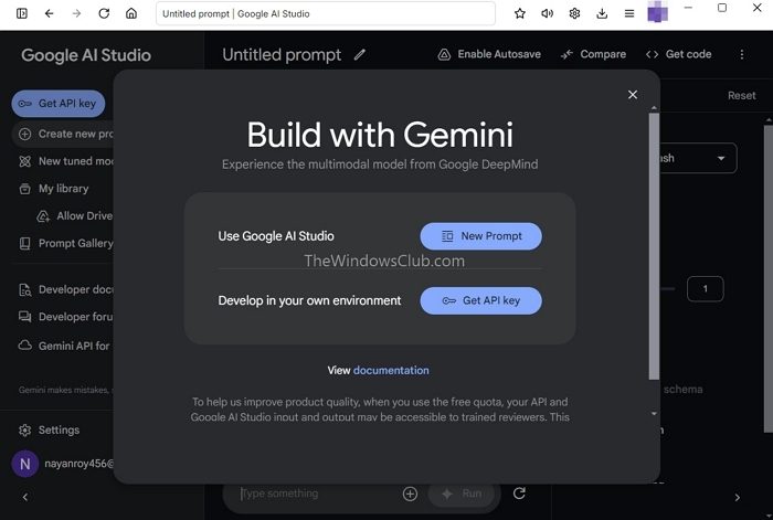 Choose Between Use Google Ai Studio Or Develop In Your Own Enviorment