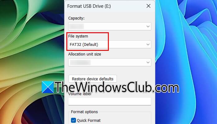 Format EFI partition as FAT32